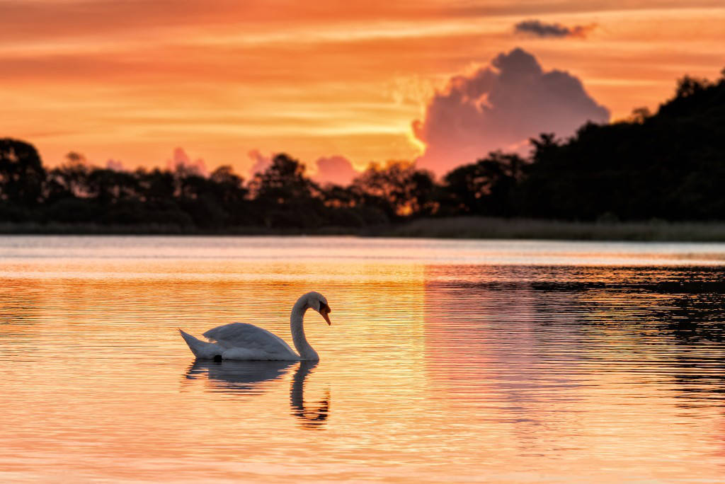 Norfolk Broads at Dawn