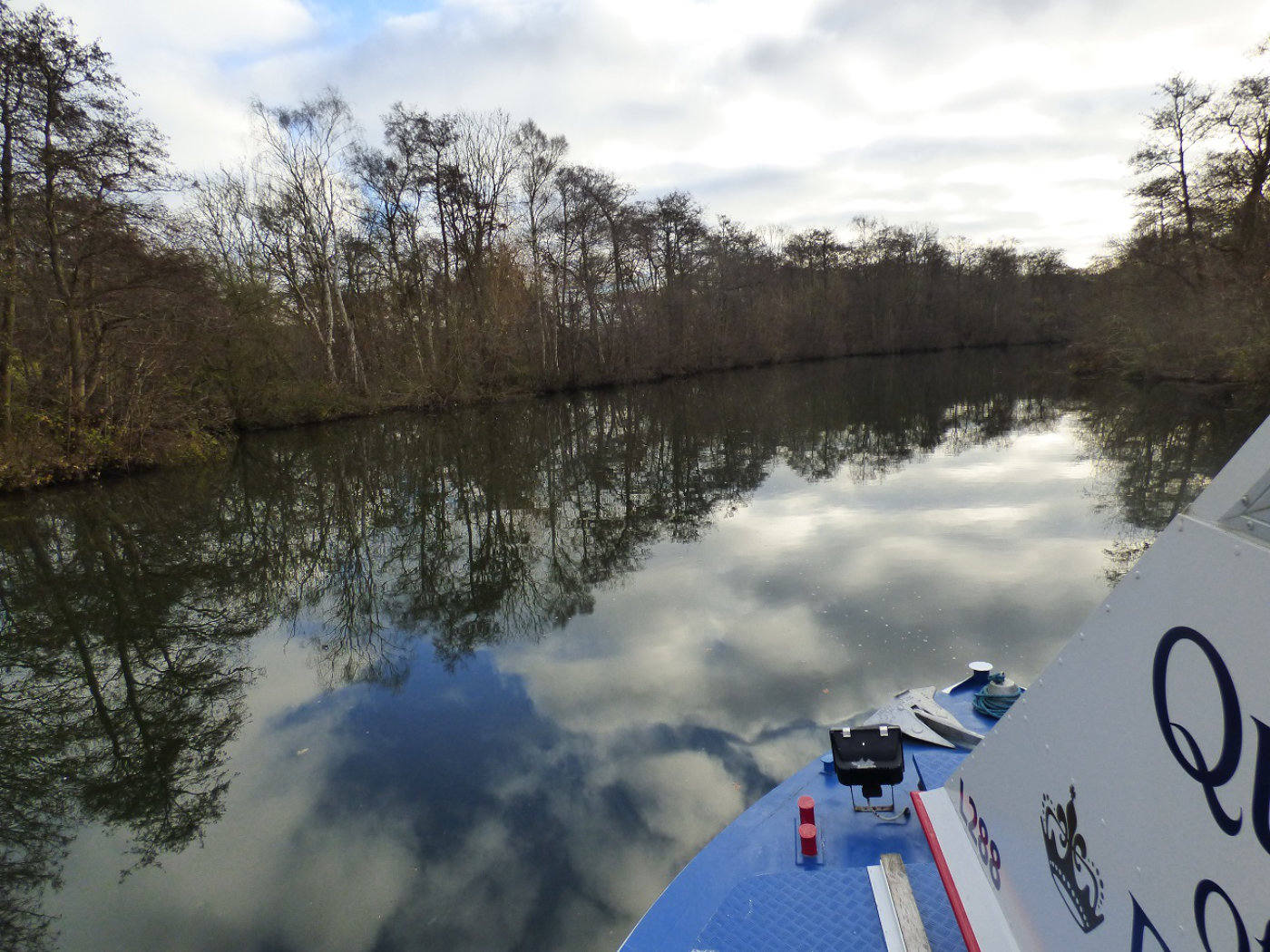 Queen on river in December