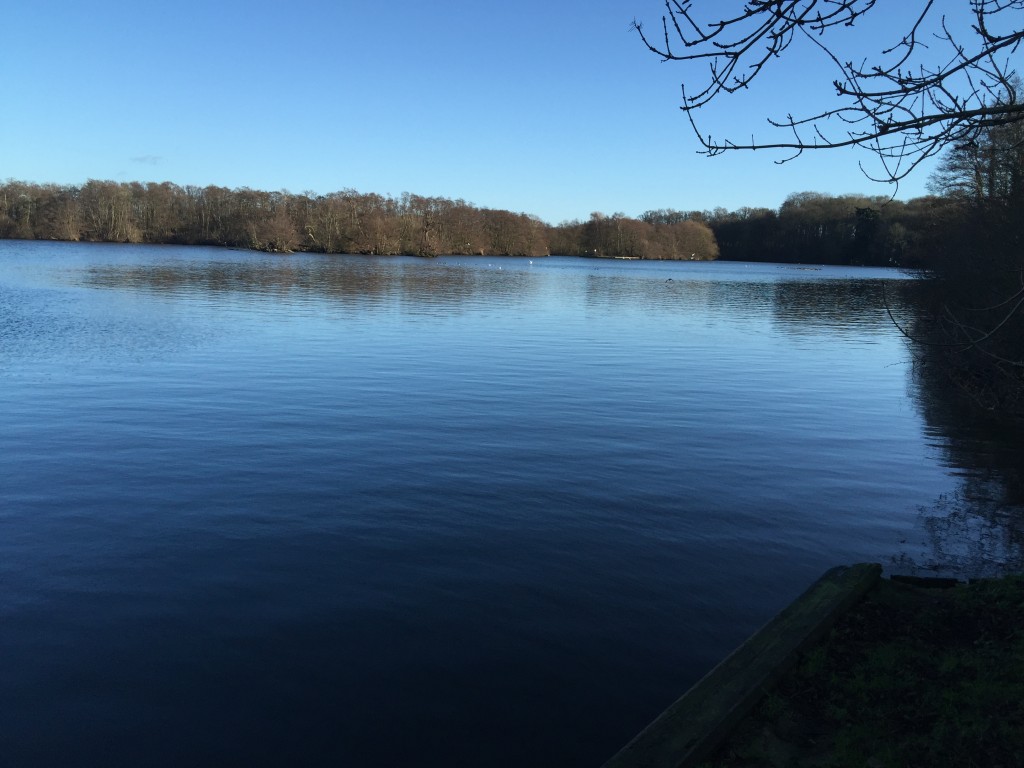 Salhouse Broad perfect weather for Boating Holidays on the Broads