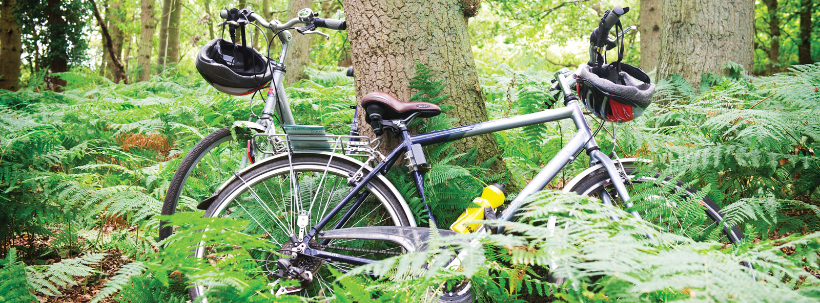 Cycling on the Norfolk Broads Norfolk Broads Direct