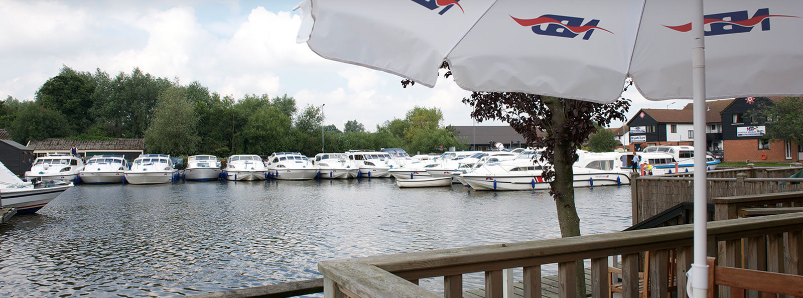 Norfolk Broads Dog Friendly Norfolk Broads Dog Friendly