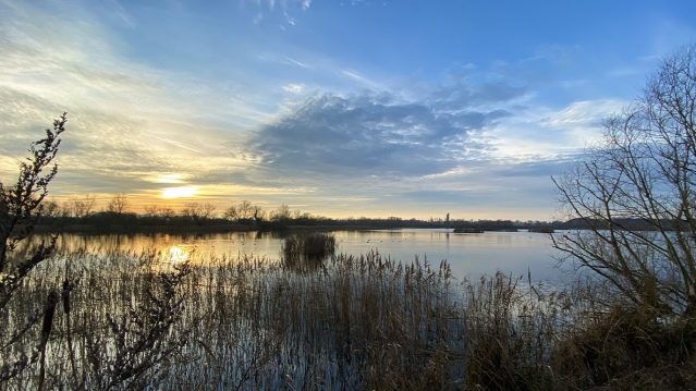 Norfolk Broads Landscape